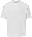 Mantis Unisex Oversized Heavy T-Shirt