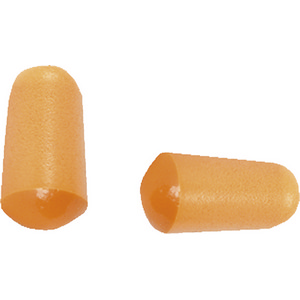 Foam Ear Plugs (10 pairs)